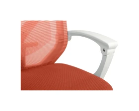 Кресло RV ДИЗАЙН Оливер  / Oliver (W-203AC) images