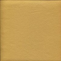 Terra effect103